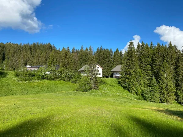 スイス シュヴィーツ州 カントン シュヴィーツ スイス オベレルグ州シュヴィーツ山塊のイベリヒ地方の観光 レクリエーション高山集落 — ストック写真