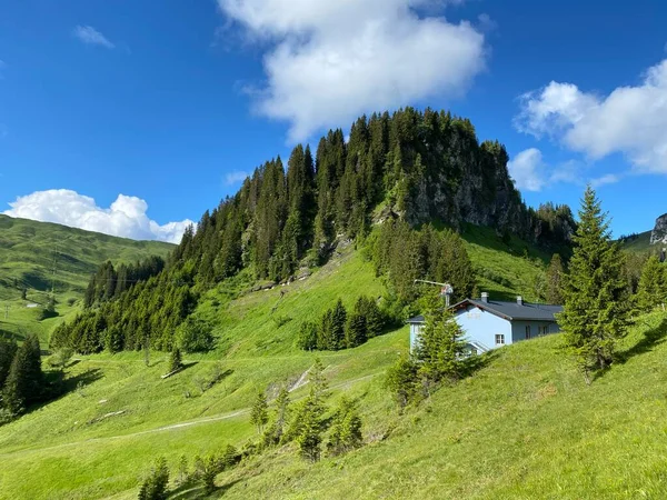 Alp Dağı Tepesi Seeblistoeckli Seeblistockli Iberig Bölgesi Schwyz Alp Dağı — Stok fotoğraf