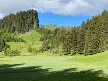 Iberig bölgesi üzerinde ve Schwyz Alp dağlarının yamaçlarında, Oberiberg - Schwyz Kantonu, İsviçre (Kanton Schwyz, Schweiz)