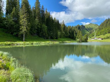 Dağ sırasının eteklerindeki Seeblisee Gölü önce ve Schwyz Alpleri dağ kütlesi, Oberiberg - Schwyz Kantonu, İsviçre (Kanton Schwyz, Schweiz)