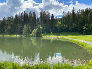 Dağ sırasının eteklerindeki Seeblisee Gölü önce ve Schwyz Alpleri dağ kütlesi, Oberiberg - Schwyz Kantonu, İsviçre (Kanton Schwyz, Schweiz)
