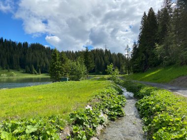 Dağ sırasının eteklerindeki Seeblisee Gölü önce ve Schwyz Alpleri dağ kütlesi, Oberiberg - Schwyz Kantonu, İsviçre (Kanton Schwyz, Schweiz)
