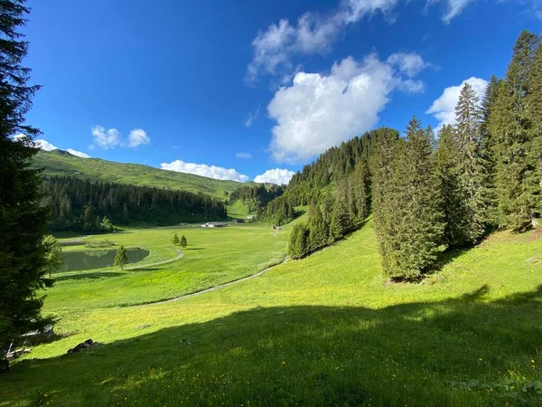 Pastos Alpinos Pastizales Sobre Región Iberig Las Laderas Del Macizo — Foto de Stock