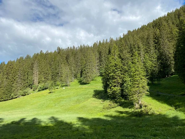 瑞士施维茨州 Kanton Schwyz Schweiz Oberiberg高山地块上伊比利亚地区的高山牧场和草地 — 图库照片