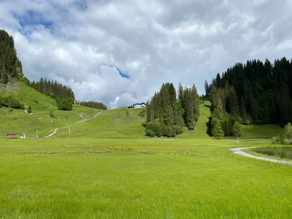 イベリア地方とシュワイツアルプス山塊の斜面にあるアルプスの牧草地と草原 オベレルグ スイスのシュワイツカントン カントン シュワイツシュワイツシュワイツシュワイツシュワイツシュワイツシュワイツシュワイツシュワイツシュワイツス — ストック写真