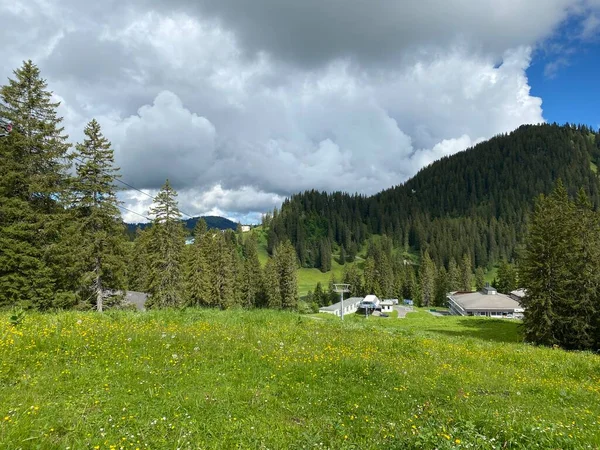 瑞士施维茨州 Kanton Schwyz Schweiz Oberiberg高山地块上伊比利亚地区的高山牧场和草地 — 图库照片