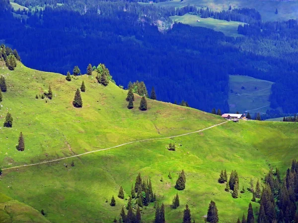 Pastagens Prados Alpinos Sobre Região Iberig Nas Encostas Maciço Montanhoso — Fotografia de Stock