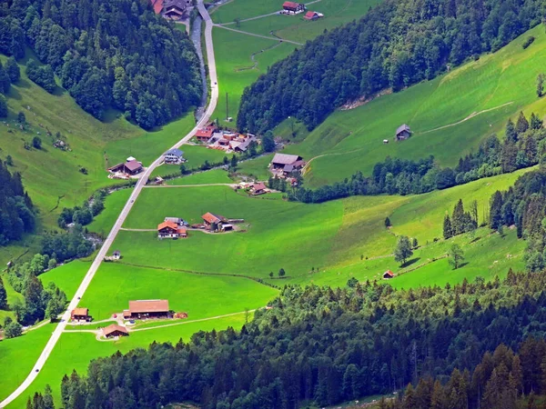 Alpenweiden Graslanden Het Iberisch Gebied Hellingen Van Het Bergmassief Schwyz — Stockfoto