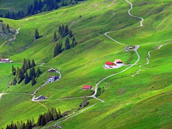 Alpesi Legelők Legelők Iberigi Régió Felett Schwyz Alpok Lejtőin Oberiberg — Stock Fotó