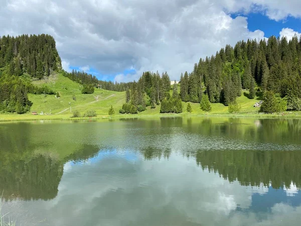 Lago Alpino Seeblisee Piedi Della Catena Montuosa First Nel Massiccio — Foto Stock