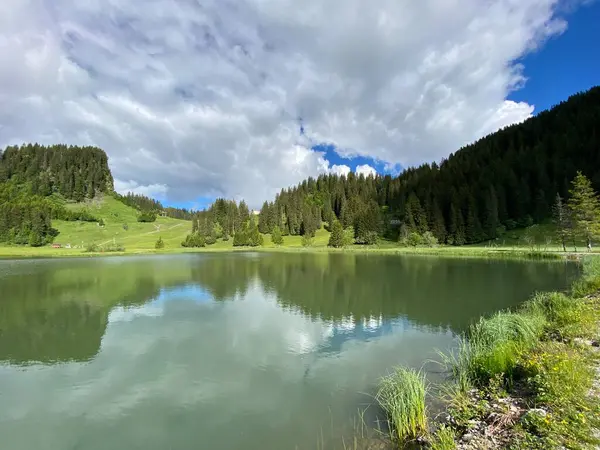 Alpine Lake Seeblisee Foot Mountain Range First Schwyz Alps Mountain — 스톡 사진