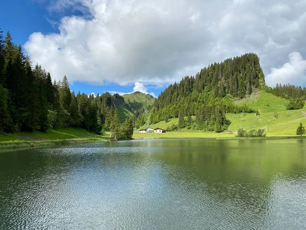 Jezioro Alpejskie Seeblisee Podnóża Pasma Górskiego Pierwsze Masywu Górskiego Schwyz — Zdjęcie stockowe