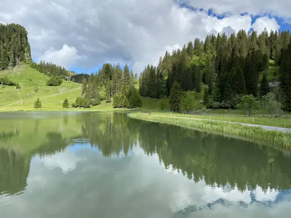 Alpine Lake Seeblisee Foot Mountain Range First Schwyz Alps Mountain — 스톡 사진