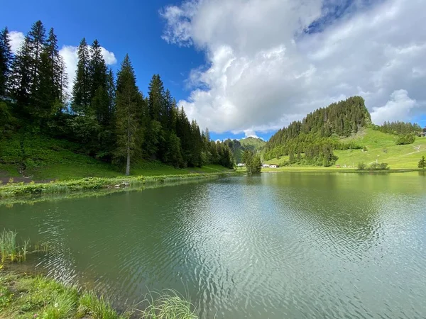 Der Seeblisee Fuße Des First Und Schwyzer Alpenmassiv Oberiberg Kanton — Stockfoto