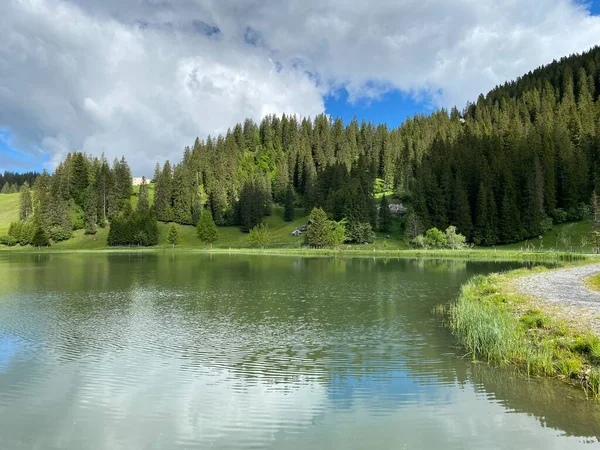 Lago Alpino Seeblisee Piedi Della Catena Montuosa First Nel Massiccio — Foto Stock