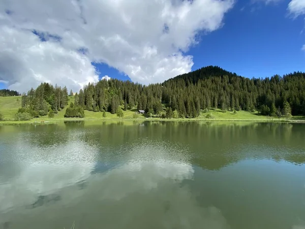 Lago Alpino Seeblisee Piedi Della Catena Montuosa First Nel Massiccio — Foto Stock