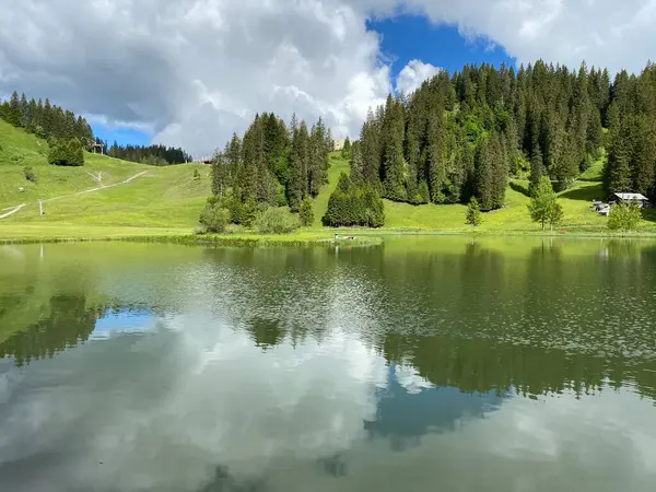 Lago Alpino Seeblisee Piedi Della Catena Montuosa First Nel Massiccio — Foto Stock