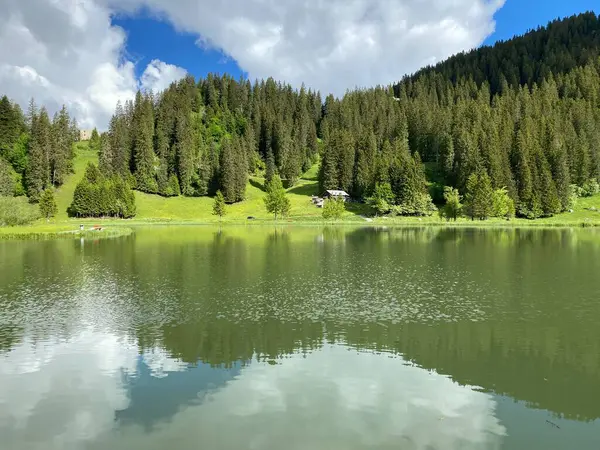 Lago Alpino Seeblisee Piedi Della Catena Montuosa First Nel Massiccio — Foto Stock