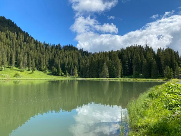 Lago Alpino Seeblisee Piedi Della Catena Montuosa First Nel Massiccio — Foto Stock