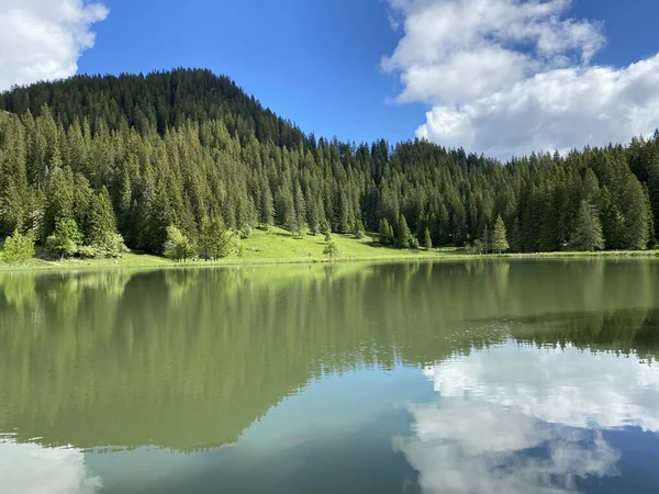 Lago Alpino Seeblisee Piedi Della Catena Montuosa First Nel Massiccio — Foto Stock