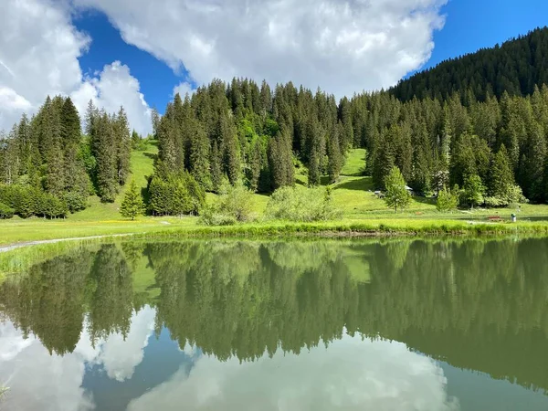 Lago Alpino Seeblisee Piedi Della Catena Montuosa First Nel Massiccio — Foto Stock