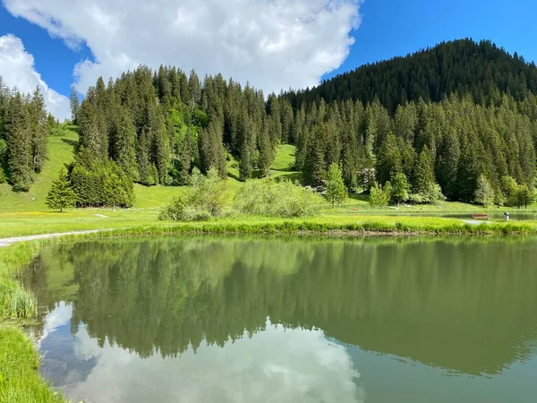 Lago Alpino Seeblisee Sopé Cordilheira Primeiro Maciço Montanhoso Dos Alpes — Fotografia de Stock