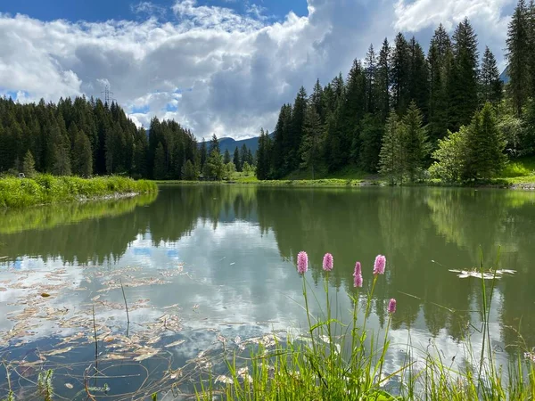 Lago Alpino Seeblisee Piedi Della Catena Montuosa First Nel Massiccio — Foto Stock