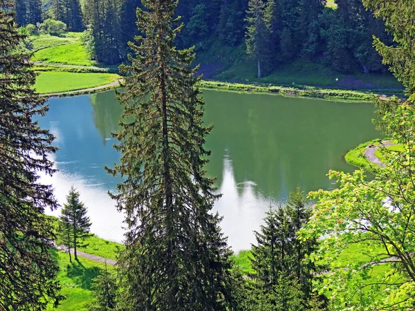 Lago Alpino Seeblisee Pie Cordillera Primero Macizo Montañoso Los Alpes — Foto de Stock