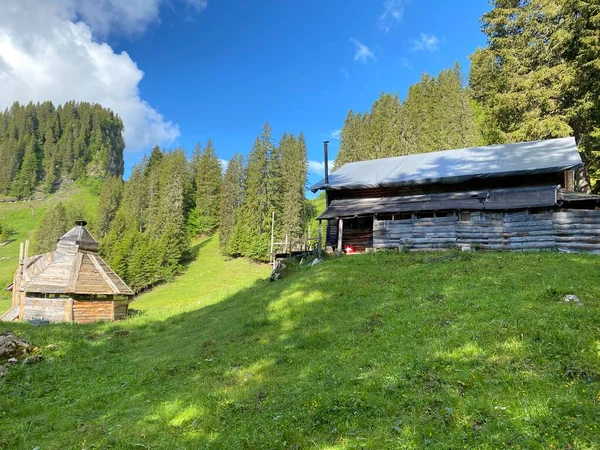 Architecture Rurale Traditionnelle Élevages Familiaux Sur Région Iberig Sur Les — Photo