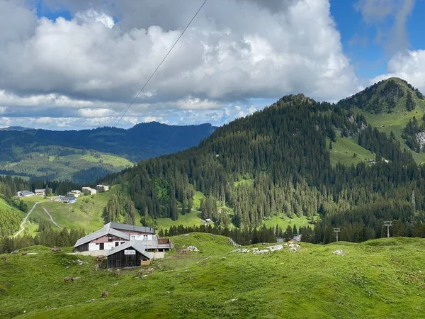 Traditionell Landsbygdsarkitektur Och Familjejordbruk Över Iberigregionen Och Sluttningarna Bergsmassivet Schwyz — Stockfoto