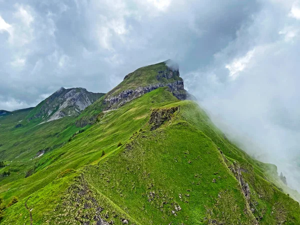 Alpské Vrcholy Druesberg Forstberg Pohoří První Horském Masivu Schwyz Alpy — Stock fotografie