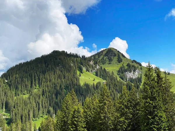 Alpské Horské Kopce Farenstoeckli Nebo Farenstockli Roggenstock Nad Iberským Krajem — Stock fotografie