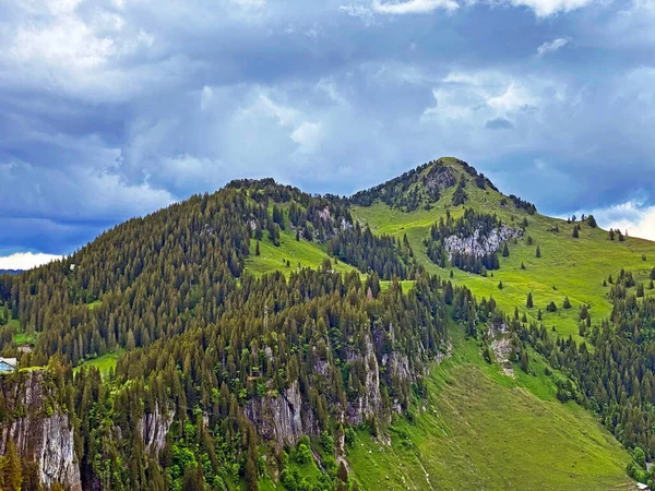 Alpenheuvels Farenstoeckli Farenstockli Roggenstock Het Iberisch Gebied Het Bergmassief Schwyz — Stockfoto