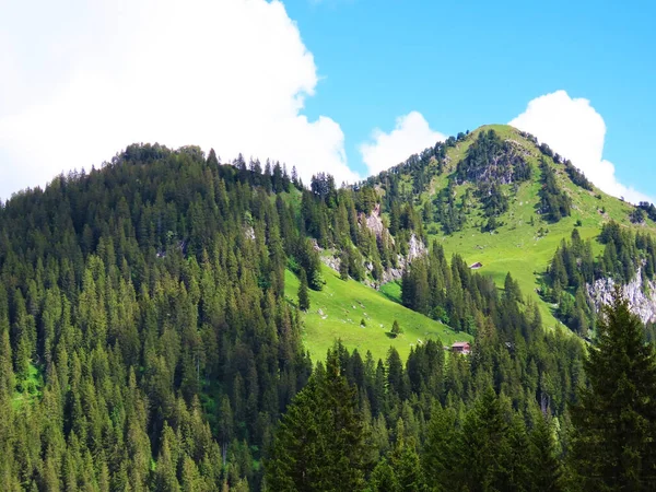 Alp Dağları Farenstoeckli Veya Farenstockli Roggenstock Iberig Bölgesi Üzerinde Schwyz — Stok fotoğraf