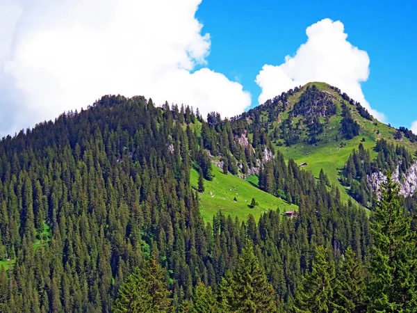 Alpské Horské Kopce Farenstoeckli Nebo Farenstockli Roggenstock Nad Iberským Krajem — Stock fotografie