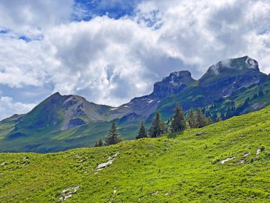 Alpine peaks Twaeriberg or Twariberg, Druesberg and Forstberg of the mountain range First and in the Schwyz Alps mountain massif, Oberiberg - Canton of Schwyz, Switzerland (Kanton Schwyz, Schweiz)