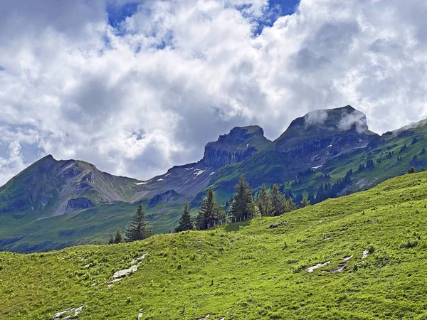 Alpine Peaks Twaeriberg Twariberg Druesberg Forstberg Mountain Range First Schwyz — Stockfoto