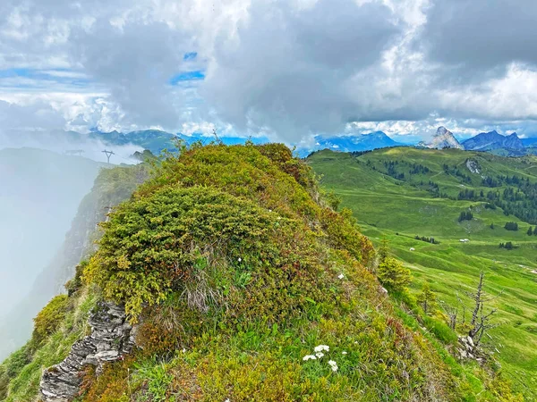 Alpine Mountain Hill Chli Staernen Chli Starnen Iberig Region Schwyz — Stockfoto