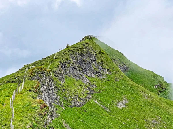 Alpine Mountain Hill Chli Staernen Chli Starnen Iberig Region Schwyz — Foto de Stock
