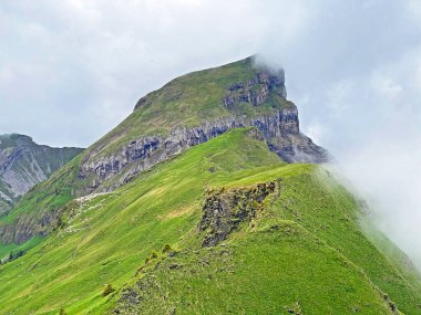 Alpine peak Forstberg of the mountain range First and in the Schwyz Alps mountain massif, Oberiberg - Canton of Schwyz, Switzerland (Kanton Schwyz, Schweiz)