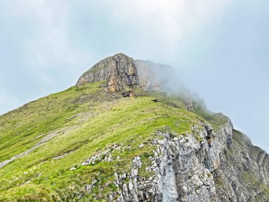 Alpine peak Forstberg of the mountain range First and in the Schwyz Alps mountain massif, Oberiberg - Canton of Schwyz, Switzerland (Kanton Schwyz, Schweiz)