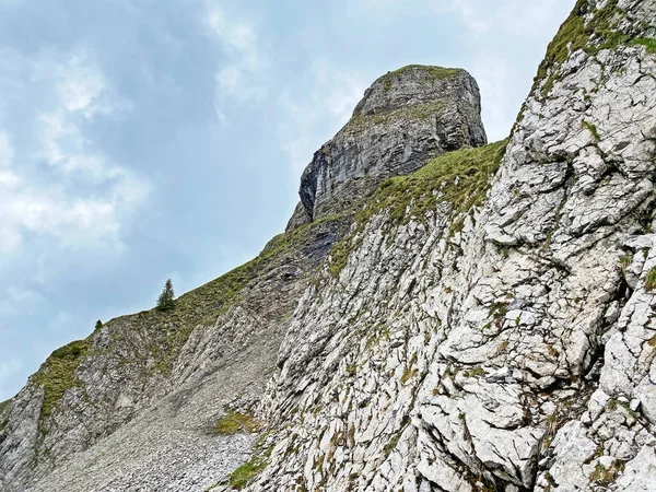 Alpine Peak Forstberg Mountain Range First Schwyz Alps Mountain Massif — Foto Stock