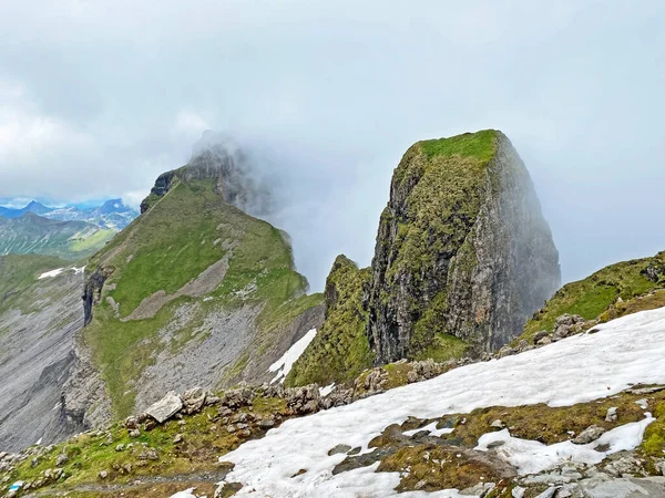 Alpine Peak Forstberg Mountain Range First Schwyz Alps Mountain Massif — Stockfoto