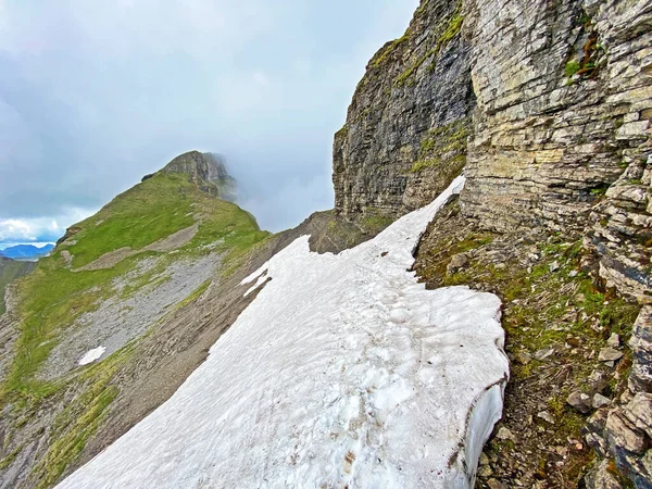 Alpine peak Forstberg of the mountain range First and in the Schwyz Alps mountain massif, Oberiberg - Canton of Schwyz, Switzerland (Kanton Schwyz, Schweiz)