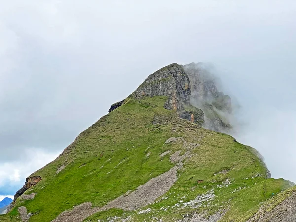 Alpine peak Forstberg of the mountain range First and in the Schwyz Alps mountain massif, Oberiberg - Canton of Schwyz, Switzerland (Kanton Schwyz, Schweiz)