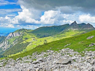 Alpine peaks Biet and Schuelberg or Schulberg of the mountain range First and in the Schwyz Alps mountain massif, Oberiberg - Canton of Schwyz, Switzerland (Kanton Schwyz, Schweiz)