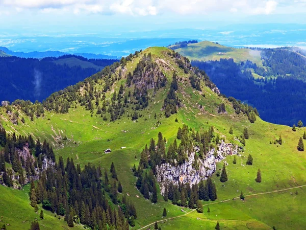 アルプス山脈の丘 イベリヒ地方とシュヴィーツ山脈の上のロッゲンストック オベレベルク スイス シュヴィーツ州 カントン シュヴィーツ シュヴィーツ州 — ストック写真