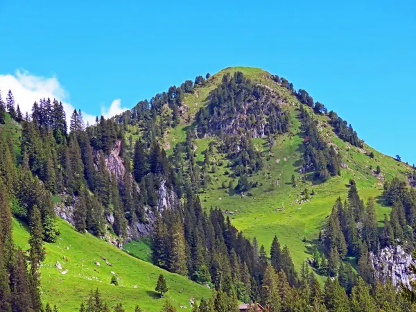 Alpský Vrch Roggenstock Nad Iberským Krajem Horském Masivu Schwyz Alpy — Stock fotografie