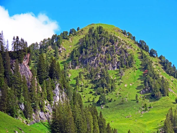 Collina Alpina Roggenstock Sopra Regione Iberig Nel Massiccio Delle Alpi — Foto Stock