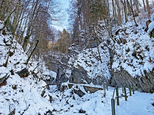 Sněžná Zimní Idylka Kaňonu Řeky Thur Die Schlucht Des Flusses — Stock fotografie
